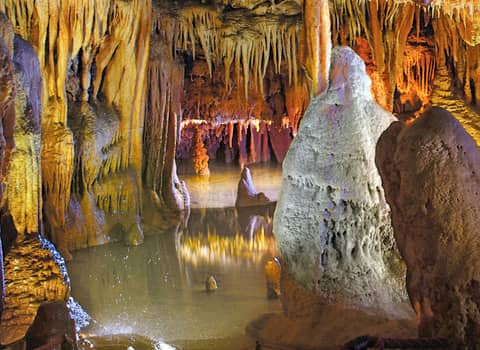 Baredine cave and Traktor story